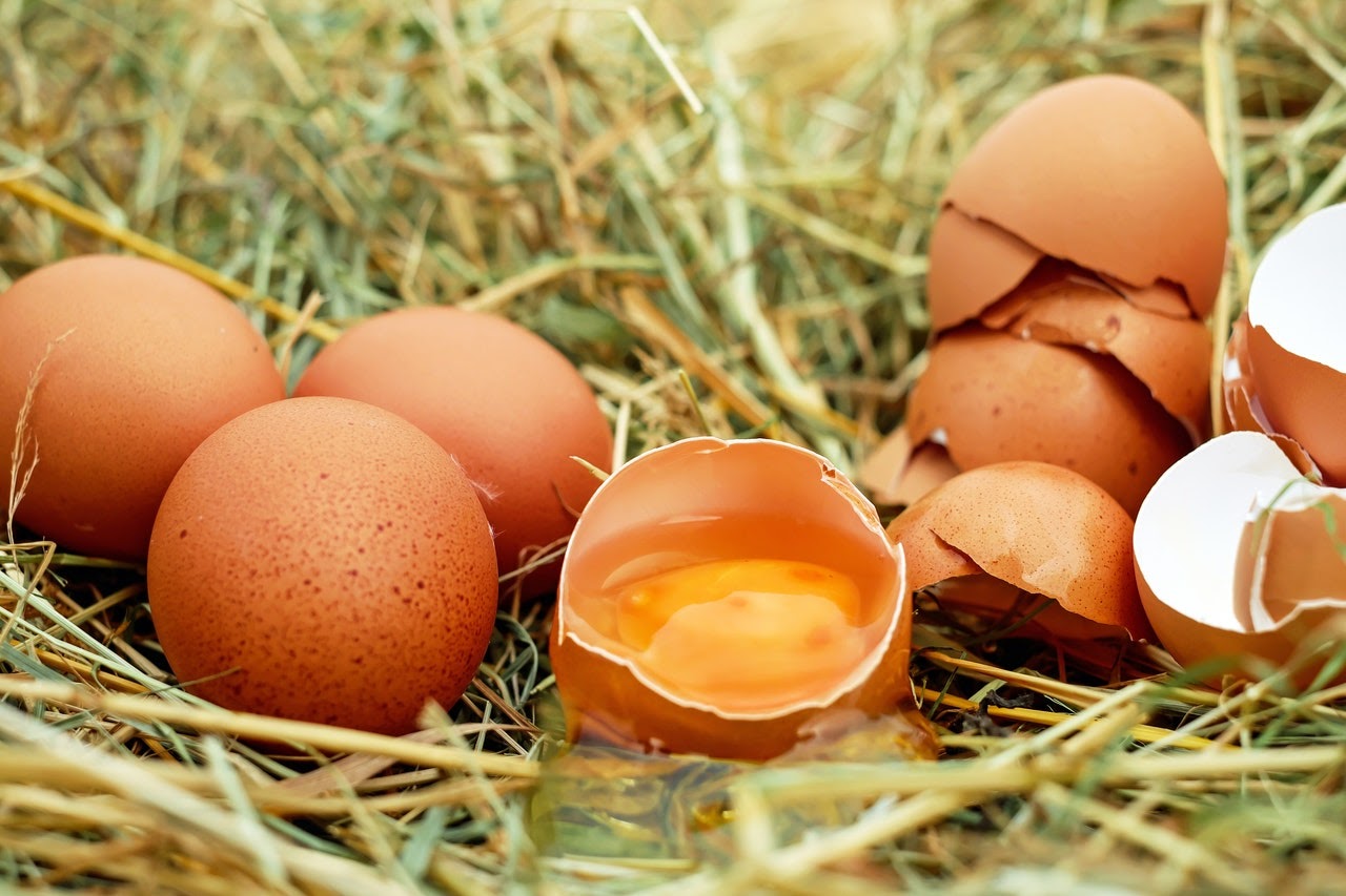 egg cracked open exposed yolk