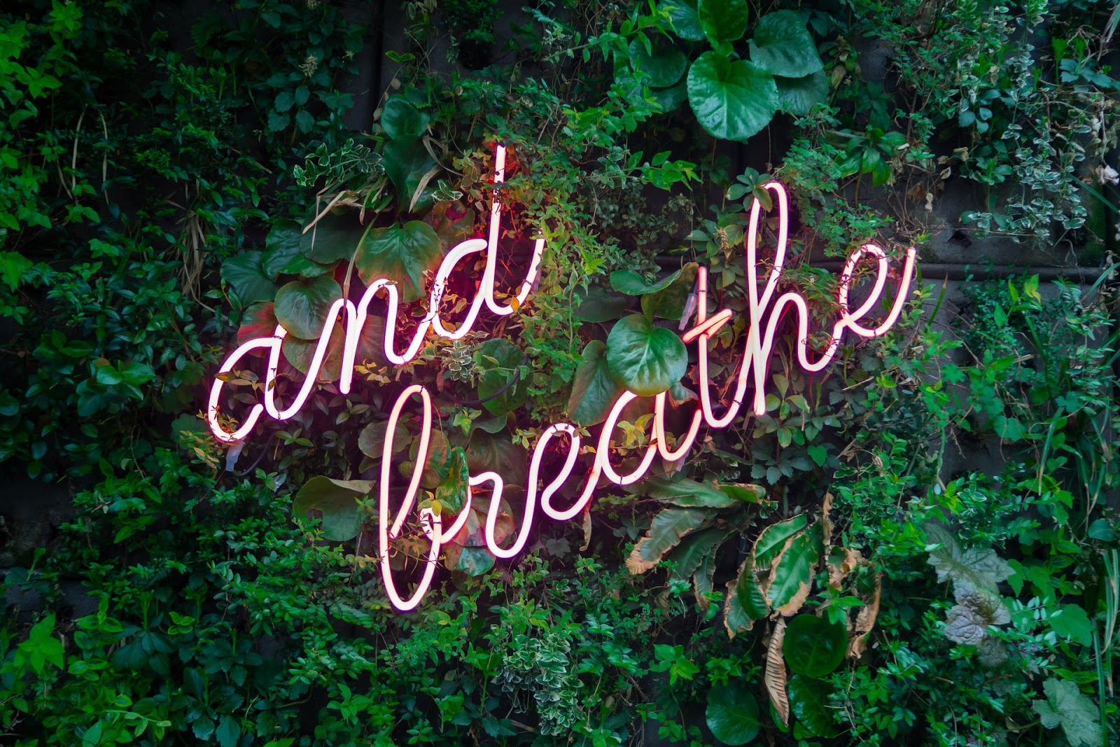 Deep breathing is on of several tools to manage anxiety. 
