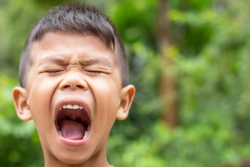 ADHD Emotional Dysregulation